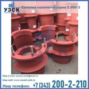 Сальники нажимные серия 5.900-3 в Перми
